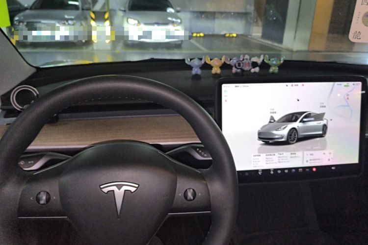 Used Tesla Model 3 2022 Rear-Wheel-Drive Version