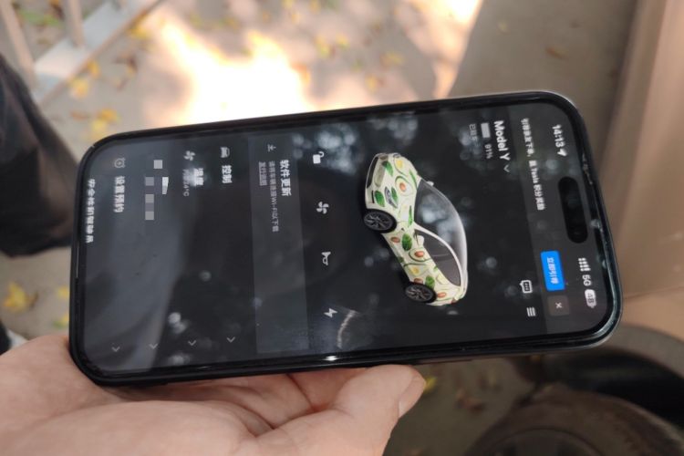 Used Tesla Model Y 2024 Rear-Wheel-Drive Version
