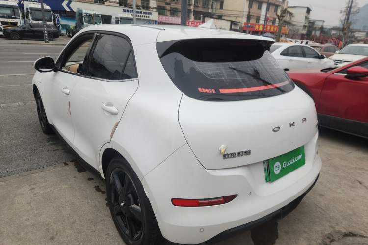 Used ORA Good Cat 2024 401 km Luxury Version