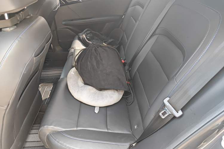 Used MG 4 EV 2022 425 km Luxury Edition Left Rear Seat