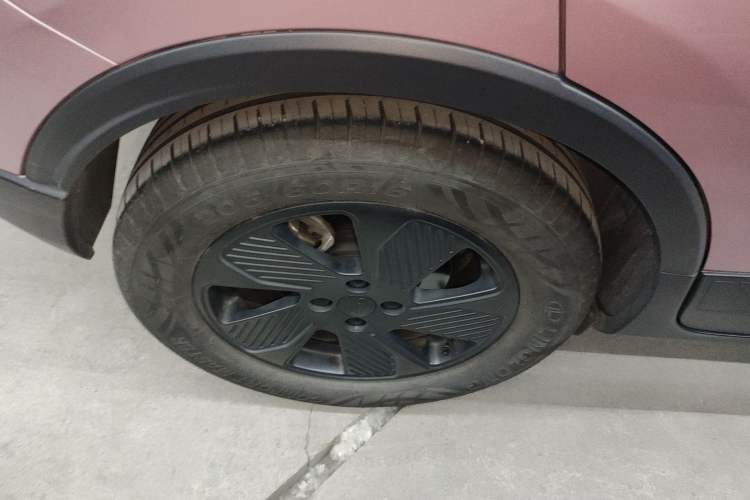 Used Geometry E Firefly 2023 401 km Super-Liked Special Edition 5 Seats