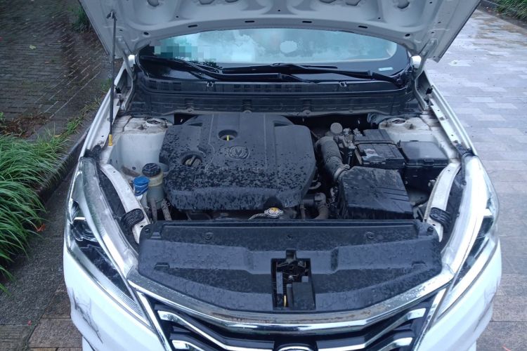 Used CHANGAN Eado DT 2019 1.6L Manual Enjoyment Model China VI Standard