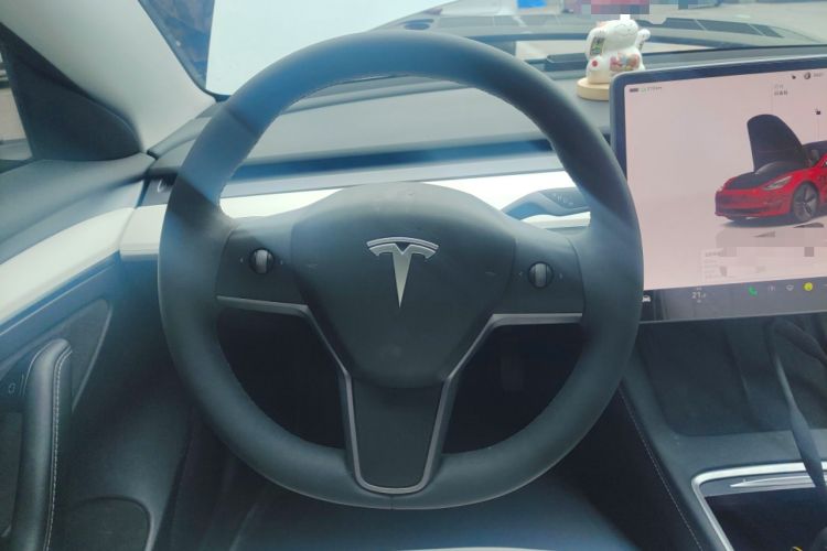 Used Tesla Model 3 2022 Rear-Wheel-Drive Version
