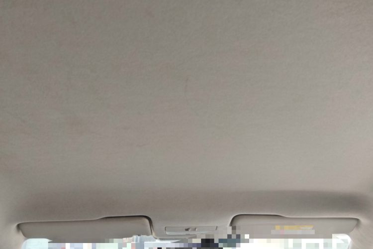 Used Skoda Rapid 2020 1.5L Automatic Standard Edition Headliner