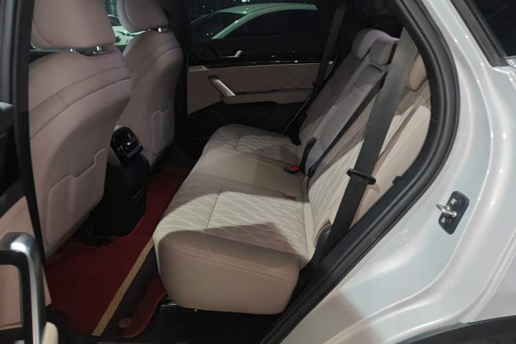 Used BYD Tang New Energy 2024 DM-p Champion Edition 215KM Four-Wheel Drive Deluxe Model