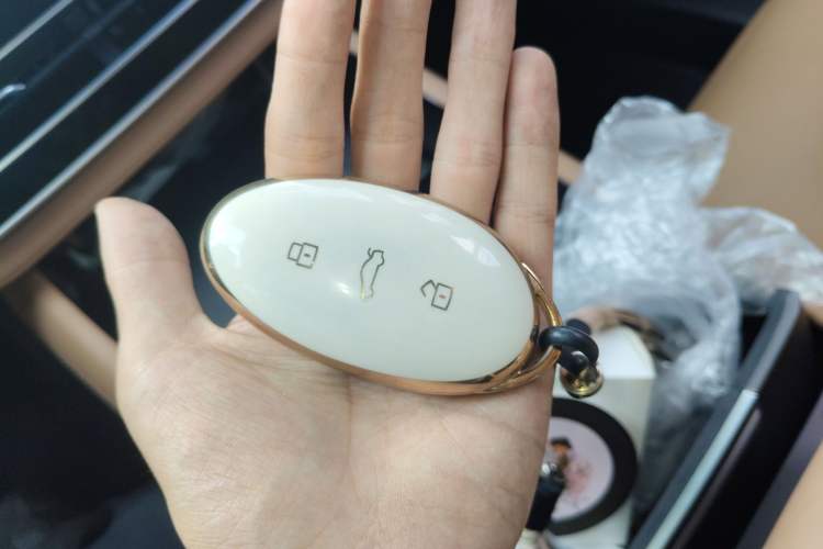 Used Rising R7 2024 Advanced Edition