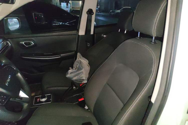 Used Dayun Yuehu 2022 300 Standard Edition
