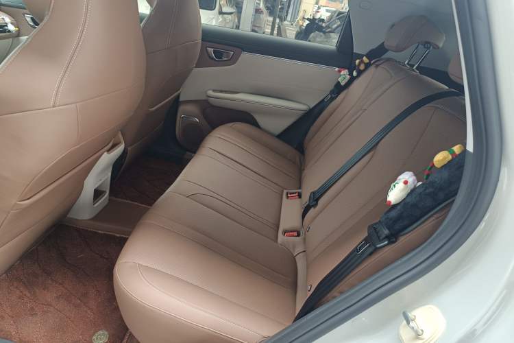 Used Wuling Bingo S 2025 Model 325km Deluxe Edition Left Rear Seat