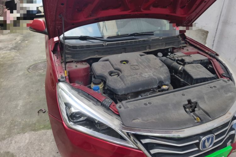 Used CHANGAN Eado DT 2019 1.6L Manual Enjoyment Model China VI Standard
