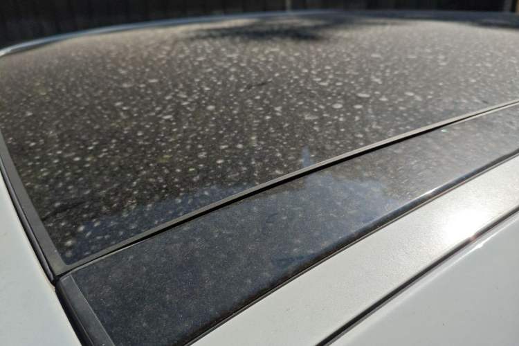 Used Jaguar F-PACE 2016 2.0T Two-Wheel Drive Urban Luxury Edition
