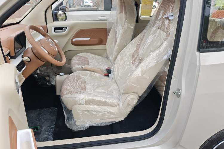 Used Wuling Hongguang MINIEV 2024 3rd Generation 215km Youth Edition Left Front Seat