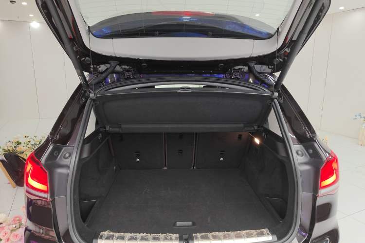 Used BMW X1 New Energy 2020 xDrive30Le Premium Edition