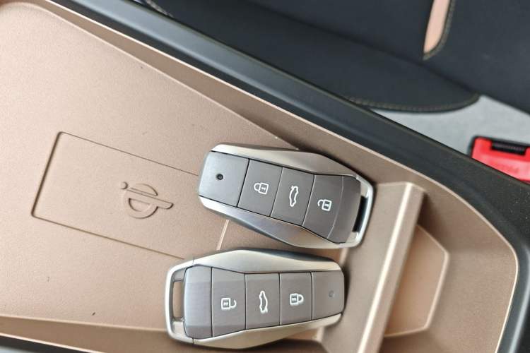 Used SOL E10X 2022 Flower Fairy Design Dandelion