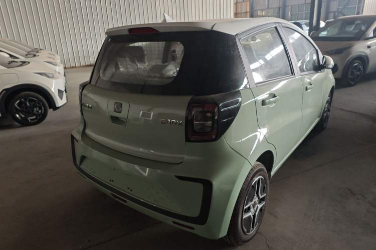 Used SOL E10X 2022 Flower Fairy Design Four-Leaf Clover
