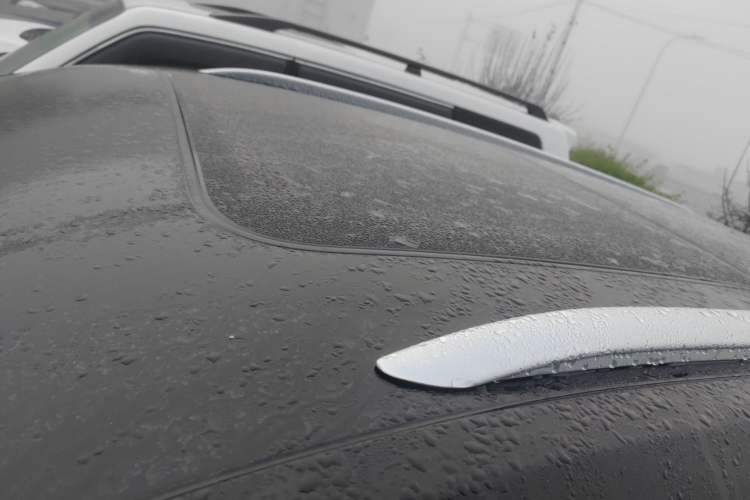 Used Hongqi E-HS9 2024 690 km Range Flagship Edition Six-Seater