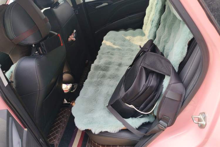 Used NETA V 2021 Witch Edition Left Rear Seat