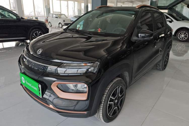 Used Dongfeng NAMMI EX1 2023 PRO Light Wind Edition Lightning Model