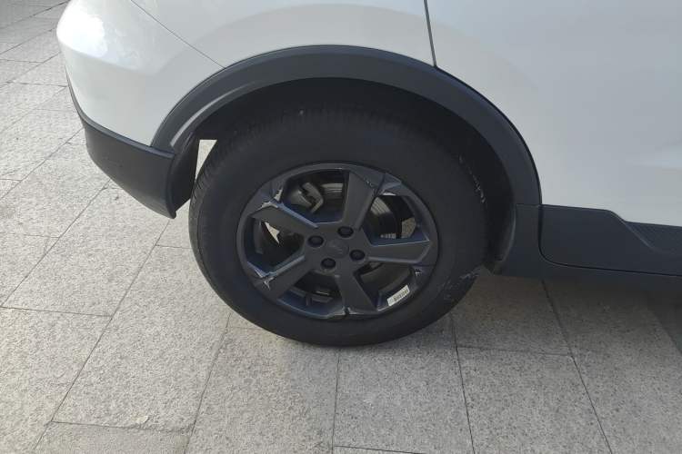 Used Geometry E Firefly 2023 401KM Linglong Tiger 5-Seater
