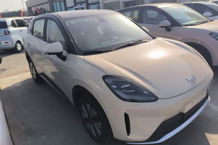 Used Wuling Bingo S 2025 Model 325km Deluxe Edition
