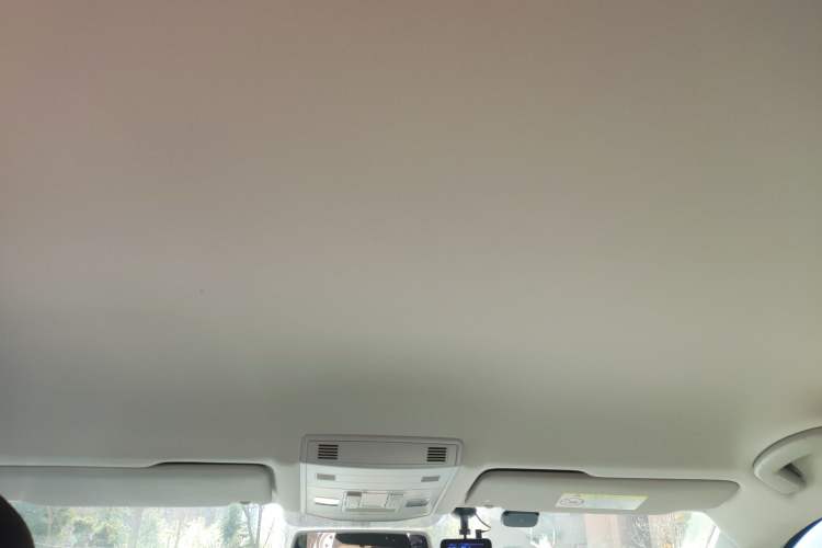 Used Volkswagen T-ROC 2018 230TSI DSG Two-Wheel Drive Advanced Version China V Standard Headliner