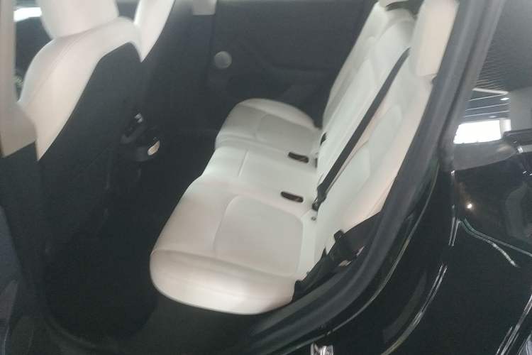 Used Tesla Model Y 2022 Revised Version Long-Range All-Wheel Drive