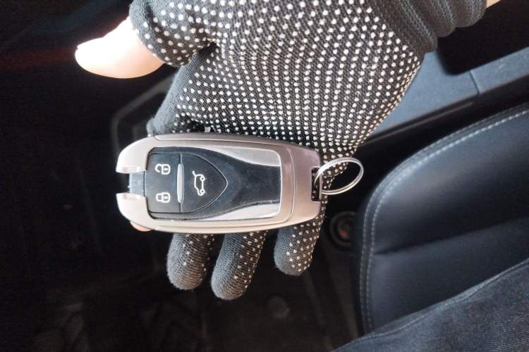 Used Dayun Yuehu 2022 30.66 kWh Two-Wheel Drive VIP Edition
