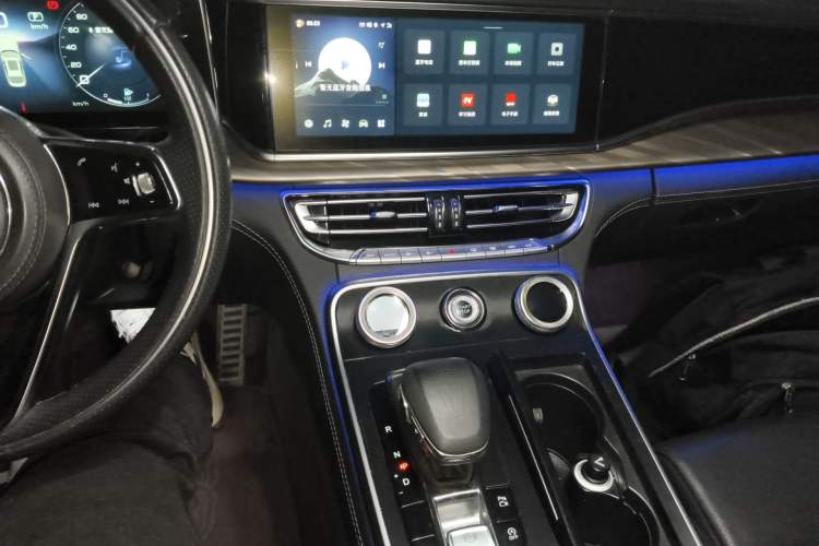 Used Hongqi H9 2020 2.0T Smart Connect Flagship Edition
