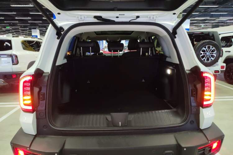 Used Haval DARGO 2024 2.0T DCT Chinese Rural Dog Edition
