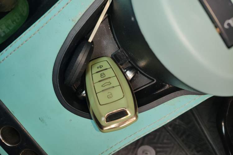 Used ORA Black Cat 2022 351 km Range Comfort Version Ternary Lithium