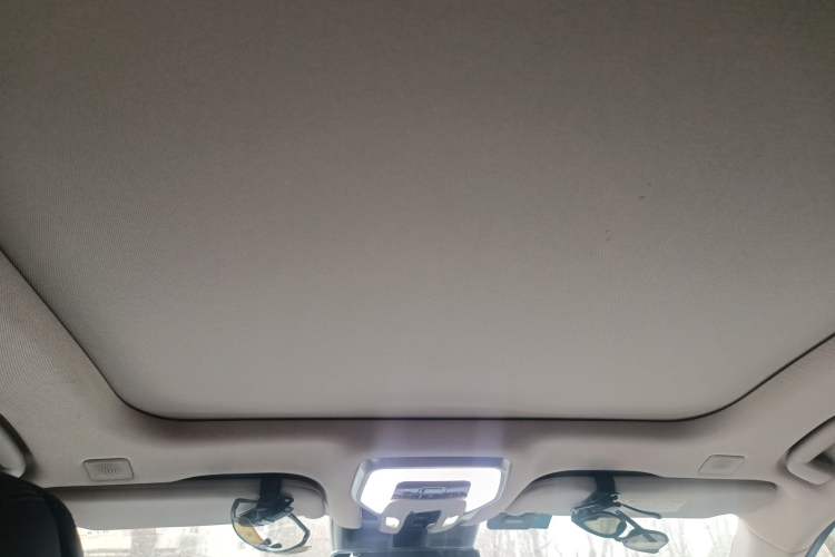 Used Hongqi H9 2020 3.0T Smart Connect Flagship Edition Headliner