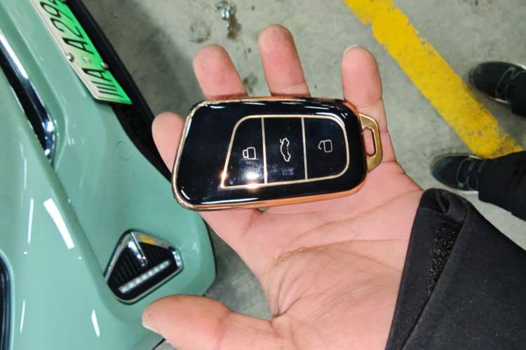 Used Chery Little Ant 2022 Sweet Pink Edition Half-Sugar Version Lithium Iron Phosphate 30 kW 301 km