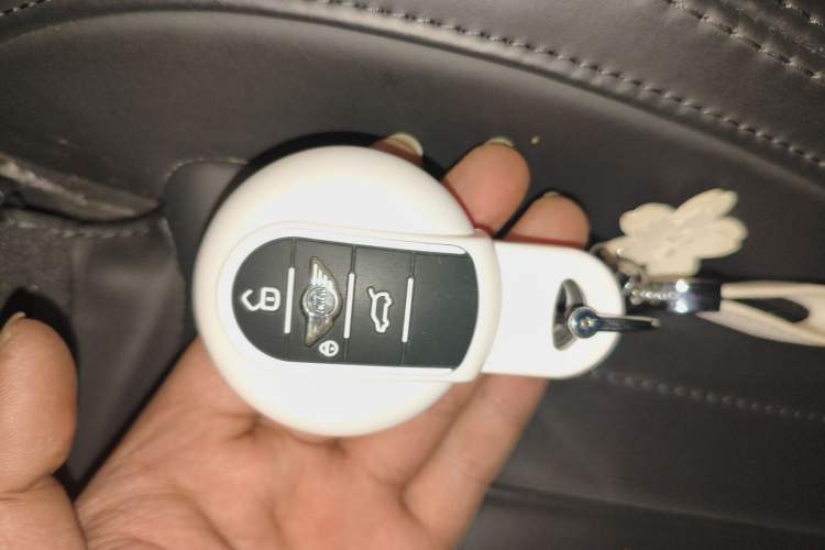 Used MINI MINI 2023 2.0T COOPER S Artist Five-Door Edition