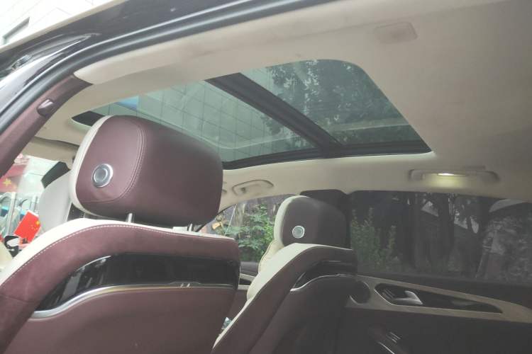 Used Hongqi H9 2020 2.0T Smart Connect Flagship Edition Headliner
