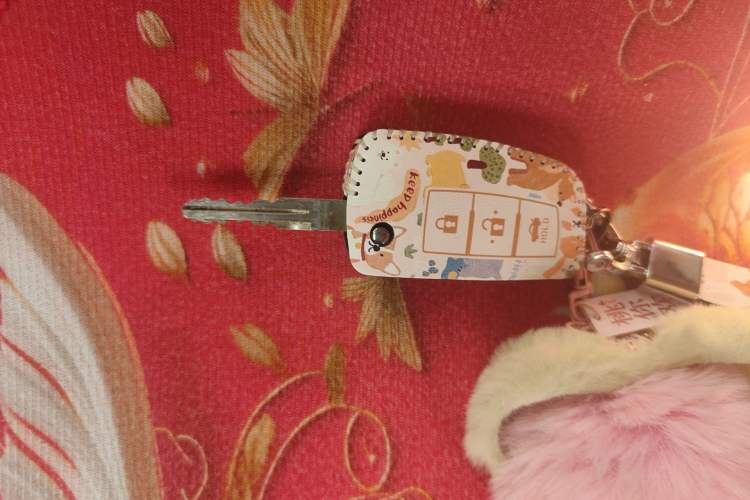 Used Nissan Sylphy 2022 Classic 1.6XE CVT Comfort Edition Vehicle Key