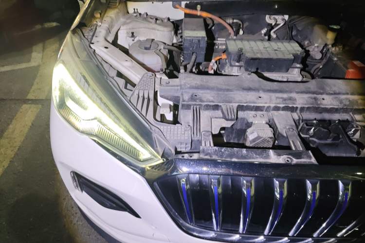 Used Hongqi E-HS3 2019 Zhilian Qiyue Two-Wheel Drive Version
