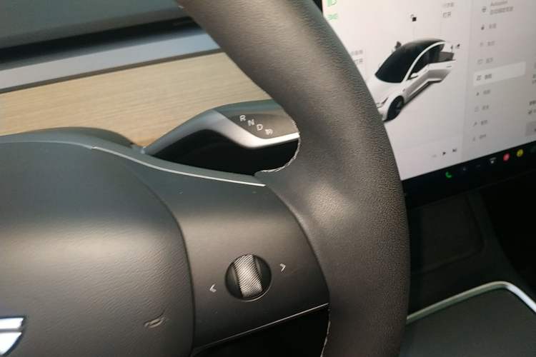 Used Tesla Model 3 2022 Rear-Wheel-Drive Version
