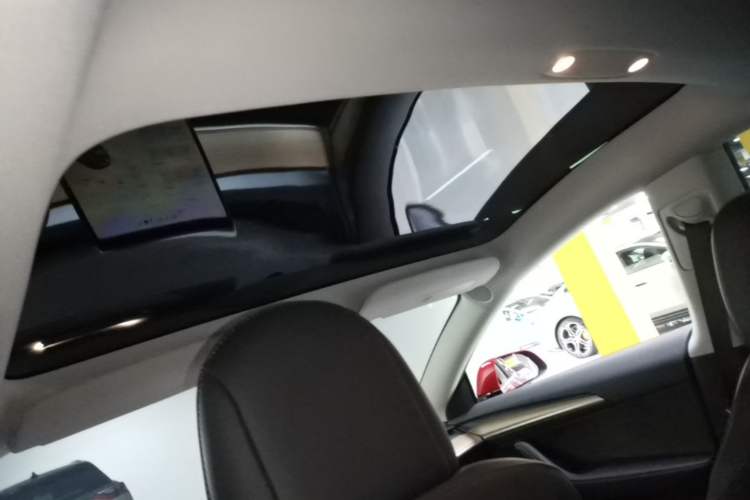 Used Tesla Model 3 2022 Rear-Wheel-Drive Version
