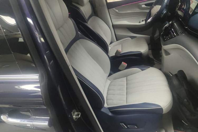 Used Roewe iMAX8 2021 400TGI Supreme Series Prestige Edition Right Front Seat