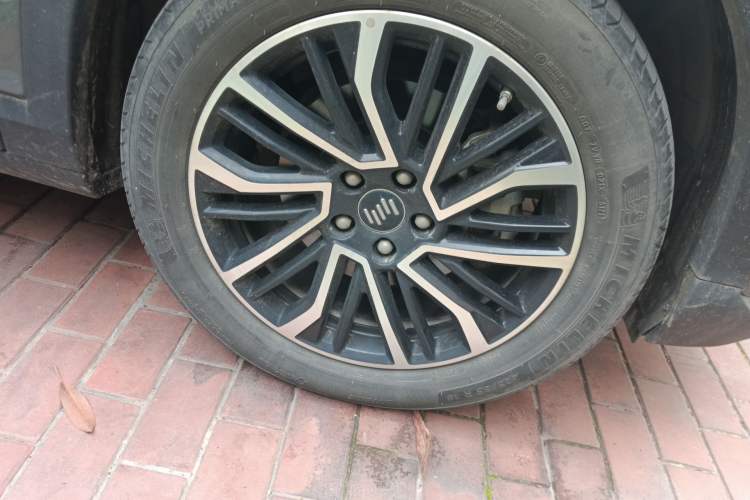 Used WM Motor W6 2021 520km PRO All-Round Edition
