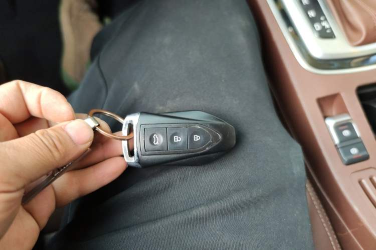 Used Leopaard CS10 2017 2.0T Automatic Urban Version