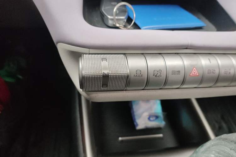 Used BYD Dolphin 2023 420 km Fashion Edition Gear Lever