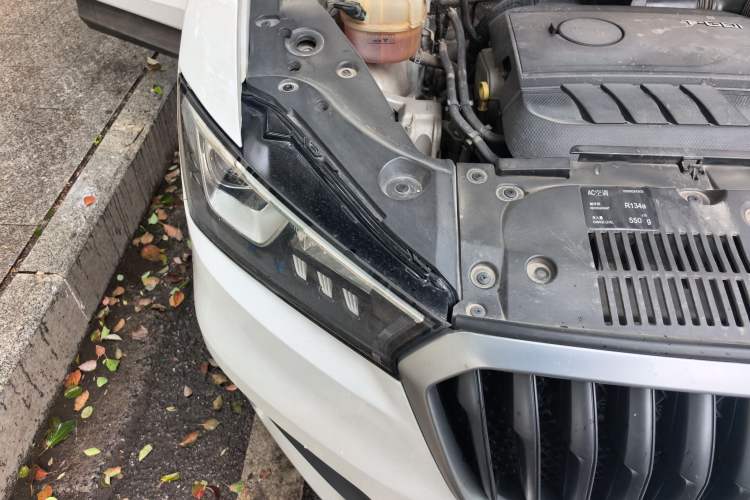 Used BORGWARD BX5 2017 25TGDI Automatic Two-Wheel Drive Fashion Model
