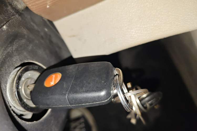 Used FORTHING Lingzhi 2020 M5L 1.6L Utility Model