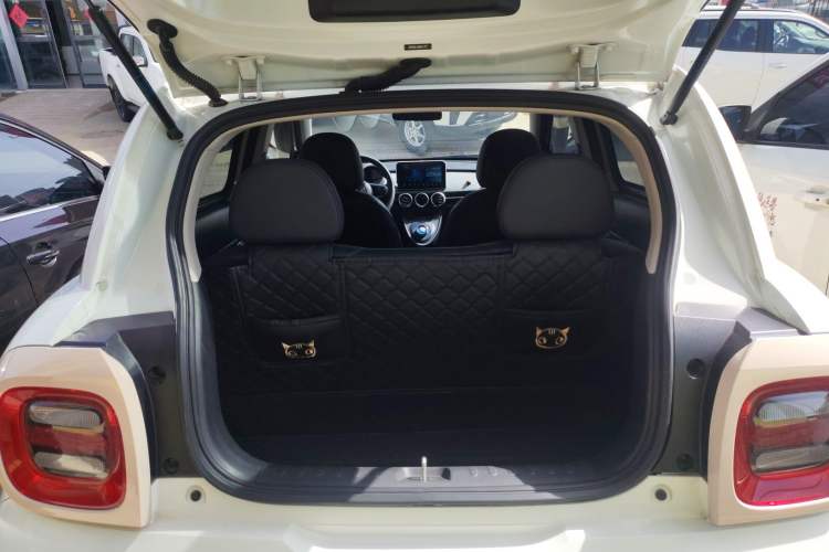 Used ORA Black Cat 2021 351 km Standard Version Trunk