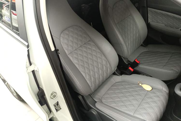 Used Leapmotor T03 2021 400 Luxury Edition Right Front Seat