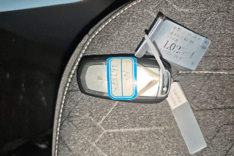 Used Geely Galaxy Panda 2024 Panda Mini 200km Endurance Bear Vehicle Key