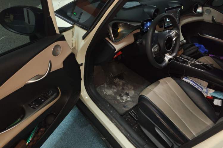 Used BYD Dolphin 2024 Honor Edition 420km Freedom Version Driver Seat