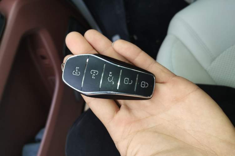 Used BYD Xia 2025 DM-i 1.5T 100km Leading Model
