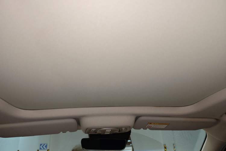 Used Roewe MARVEL X 2018 Rear-Drive Model Headliner