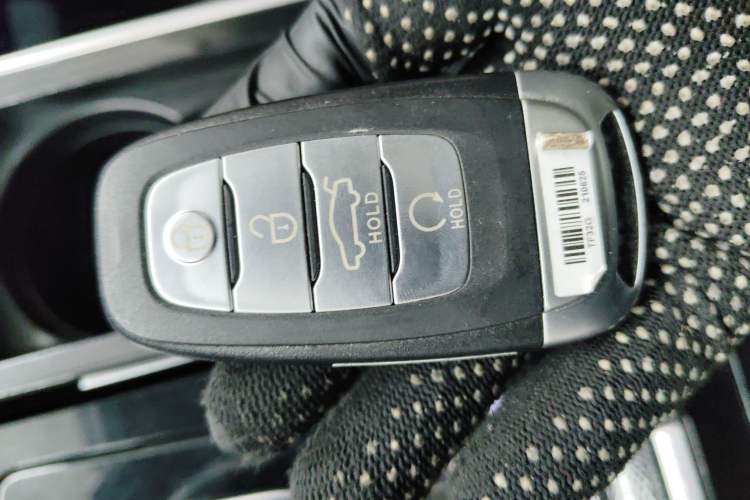 Used Hongqi H9 2020 2.0T Smart Connect Flagship Edition